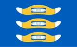 Flag of Hyvinkää Flag of Hyvinkää