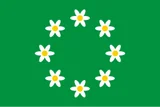 Flag of Raseborg