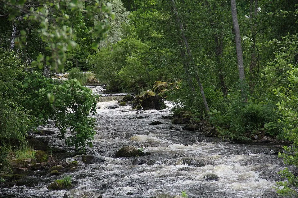 Näkymä kunnasta Enonkoski