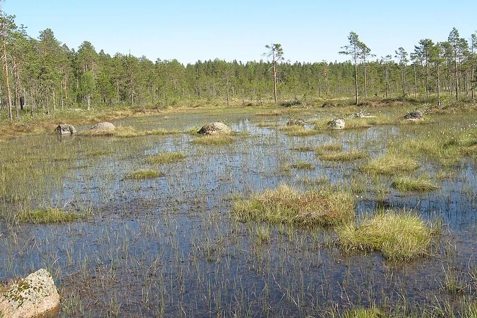 Etelä-Pohjanmaa