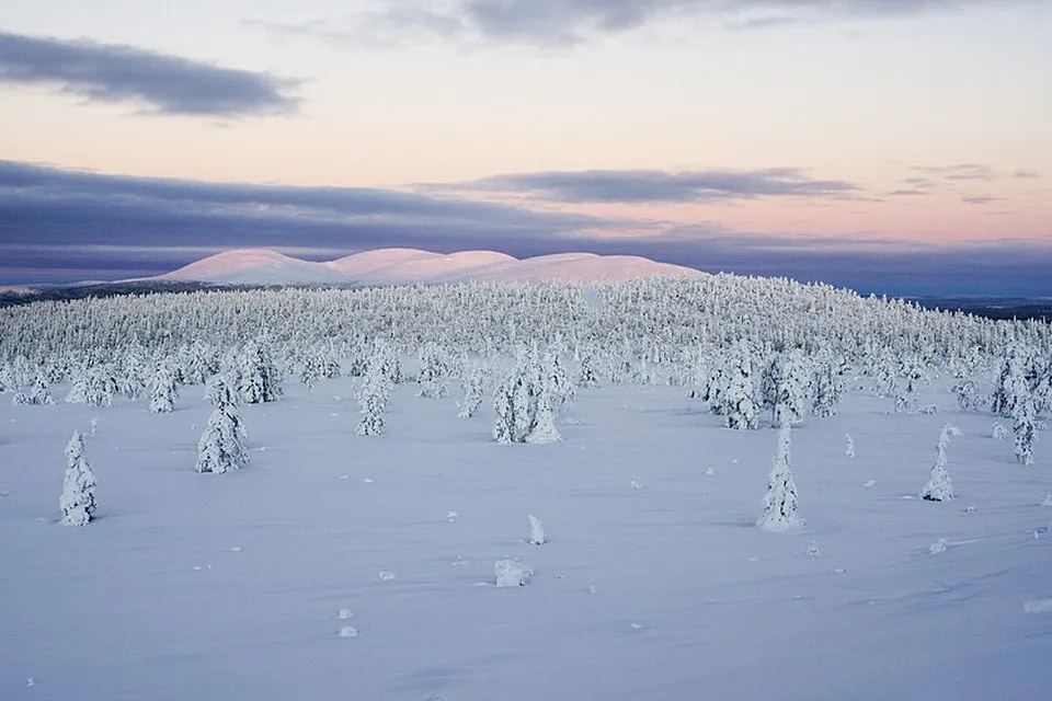 Lappi